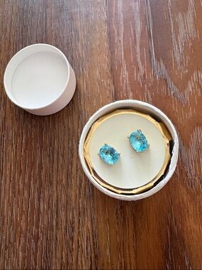 Francesca's Collections Aqua Blue Oval Crystal Stud Earrings